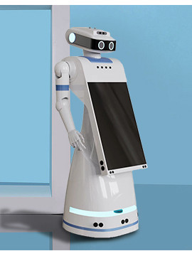 Reception Robot