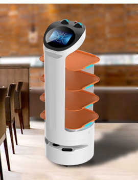 Delivery Robot