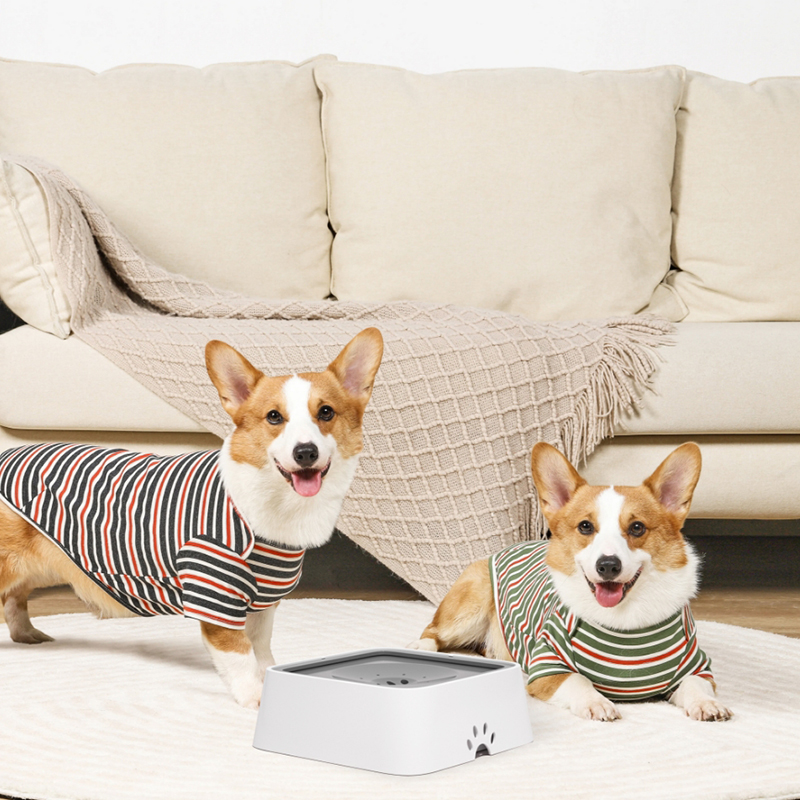 Pet water Bowl-2L